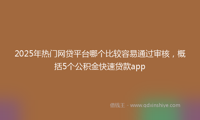 2025年热门网贷平台哪个比较容易通过审核，概括5个公积金快速贷款app