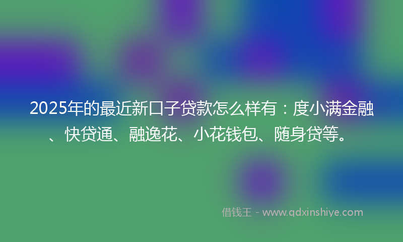 2025年的最近新口子贷款怎么样有：度小满金融、快贷通、融逸花、小花钱包、随身贷等。