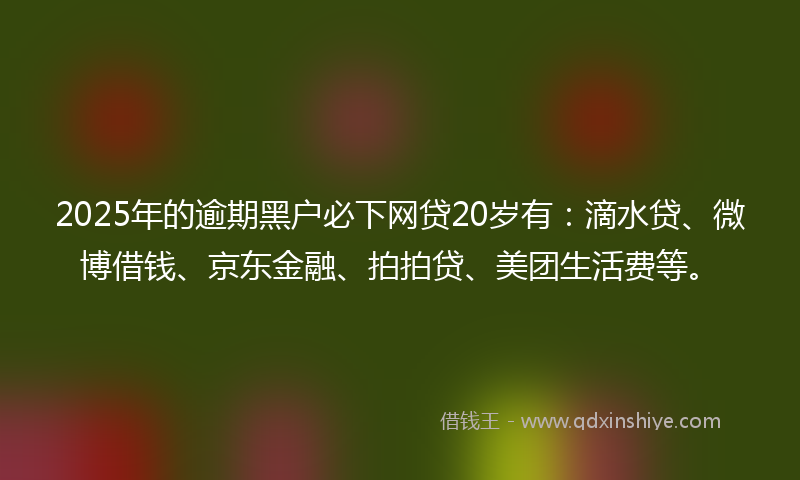 2025年的逾期黑户必下网贷20岁有：滴水贷、微博借钱、京东金融、拍拍贷、美团生活费等。