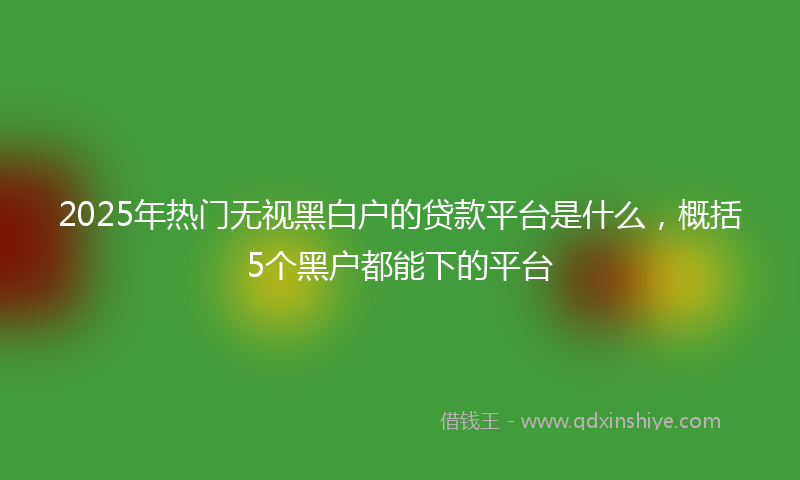 2025年热门无视黑白户的贷款平台是什么，概括5个黑户都能下的平台