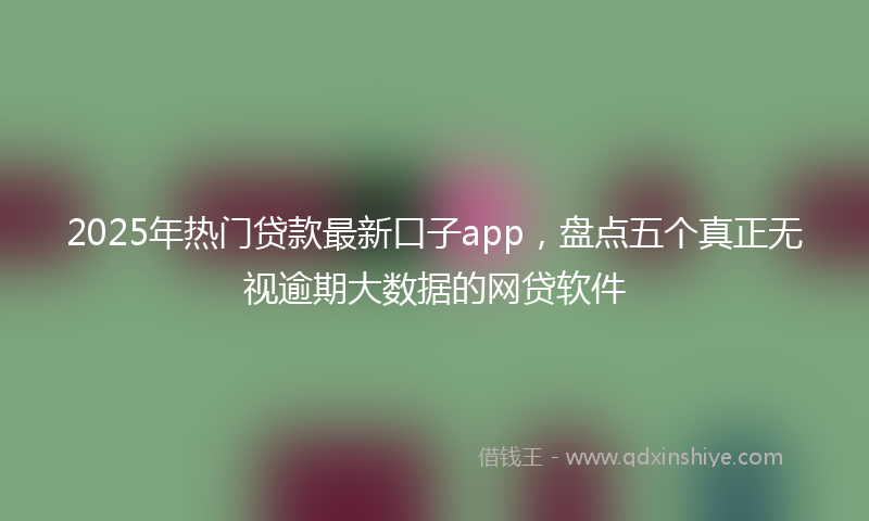 2025年热门贷款最新口子app，盘点五个真正无视逾期大数据的网贷软件