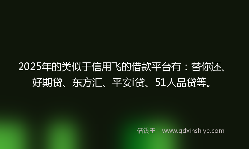 2025年的类似于信用飞的借款平台有：替你还、好期贷、东方汇、平安i贷、51人品贷等。