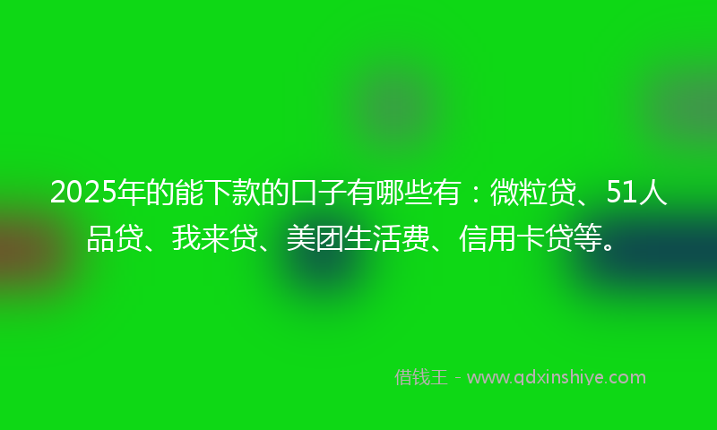 2025年的能下款的口子有哪些有：微粒贷、51人品贷、我来贷、美团生活费、信用卡贷等。