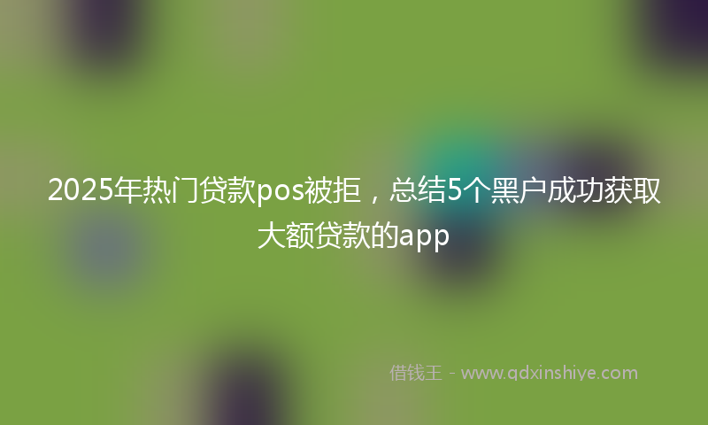 2025年热门贷款pos被拒，总结5个黑户成功获取大额贷款的app