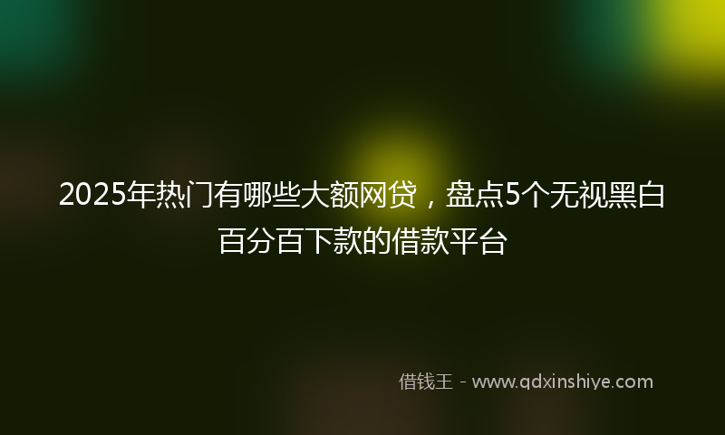 2025年热门有哪些大额网贷，盘点5个无视黑白百分百下款的借款平台