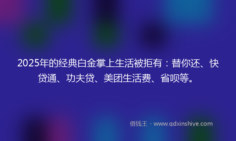 2025年的经典白金掌上生活被拒有：替你还、快贷通、功夫贷、美团生活费、省呗等。