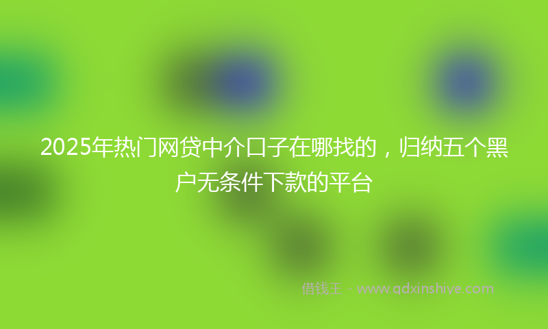 2025年热门网贷中介口子在哪找的，归纳五个黑户无条件下款的平台