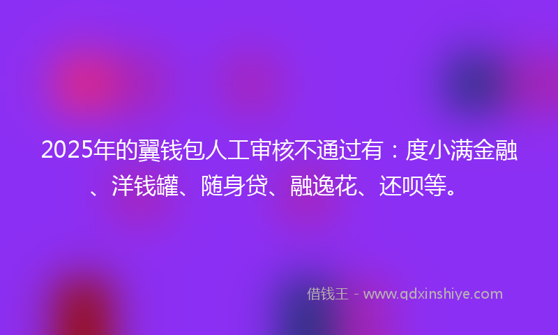 2025年的翼钱包人工审核不通过有：度小满金融、洋钱罐、随身贷、融逸花、还呗等。