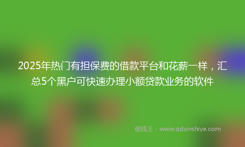 2025年热门有担保费的借款平台和花薪一样，汇总5个黑户可快速办理小额贷款业务的软件