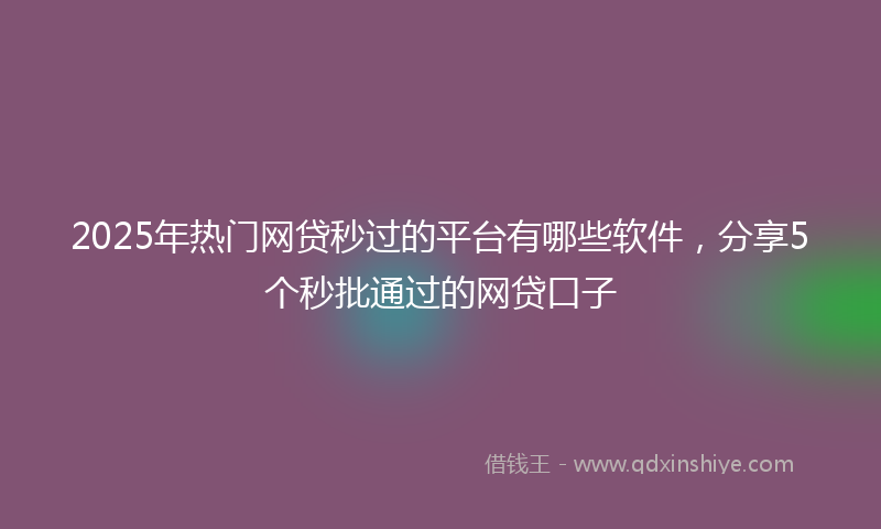 2025年热门网贷秒过的平台有哪些软件，分享5个秒批通过的网贷口子