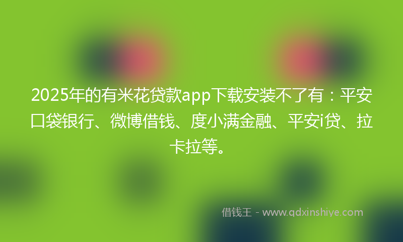 2025年的有米花贷款app下载安装不了有：平安口袋银行、微博借钱、度小满金融、平安i贷、拉卡拉等。