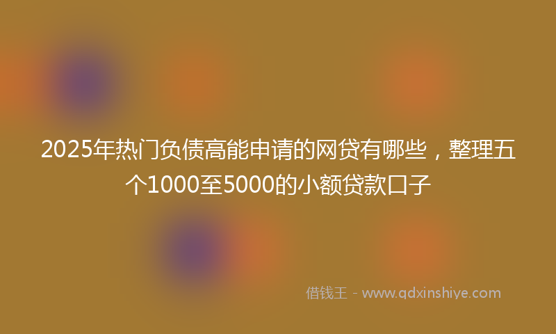 2025年热门负债高能申请的网贷有哪些，整理五个1000至5000的小额贷款口子