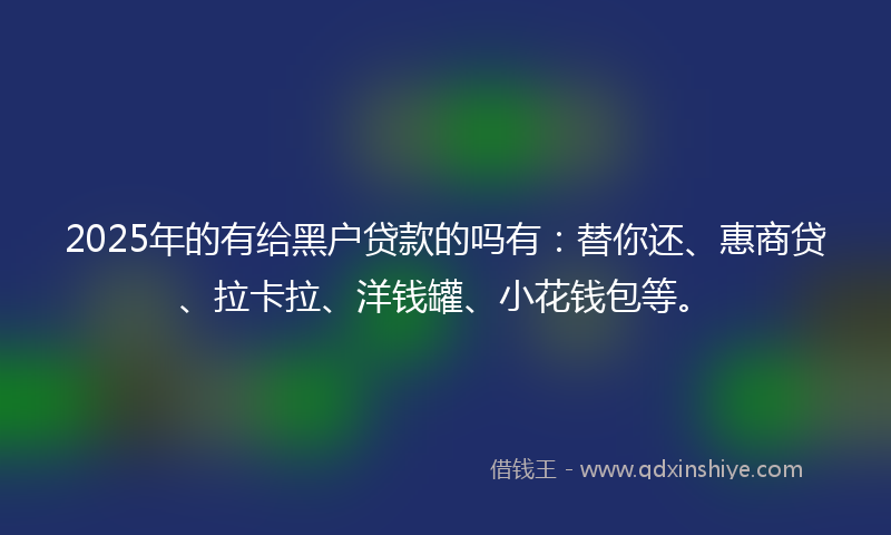 2025年的有给黑户贷款的吗有：替你还、惠商贷、拉卡拉、洋钱罐、小花钱包等。