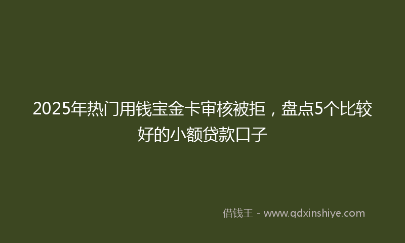 2025年热门用钱宝金卡审核被拒，盘点5个比较好的小额贷款口子