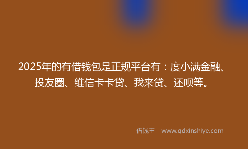 2025年的有借钱包是正规平台有：度小满金融、投友圈、维信卡卡贷、我来贷、还呗等。