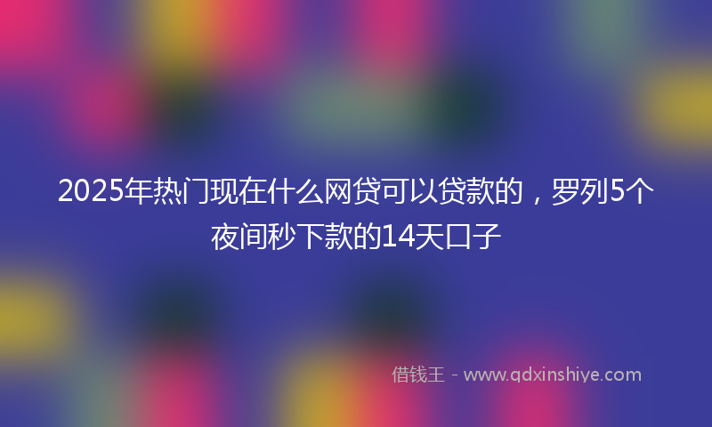 2025年热门现在什么网贷可以贷款的，罗列5个夜间秒下款的14天口子