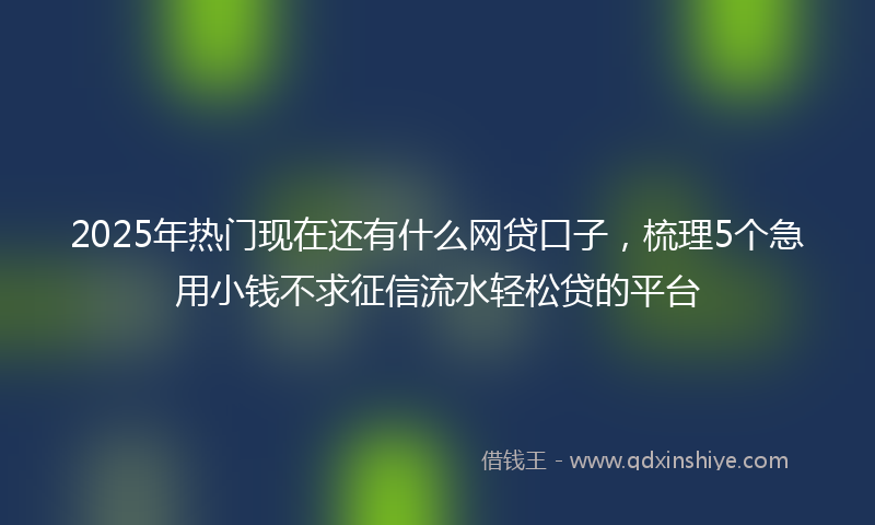 2025年热门现在还有什么网贷口子，梳理5个急用小钱不求征信流水轻松贷的平台