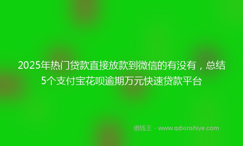 2025年热门贷款直接放款到微信的有没有，总结5个支付宝花呗逾期万元快速贷款平台