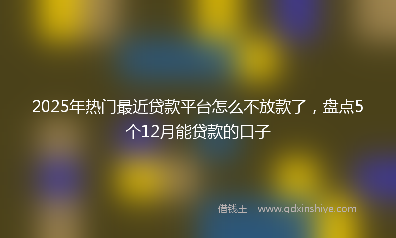2025年热门最近贷款平台怎么不放款了，盘点5个12月能贷款的口子