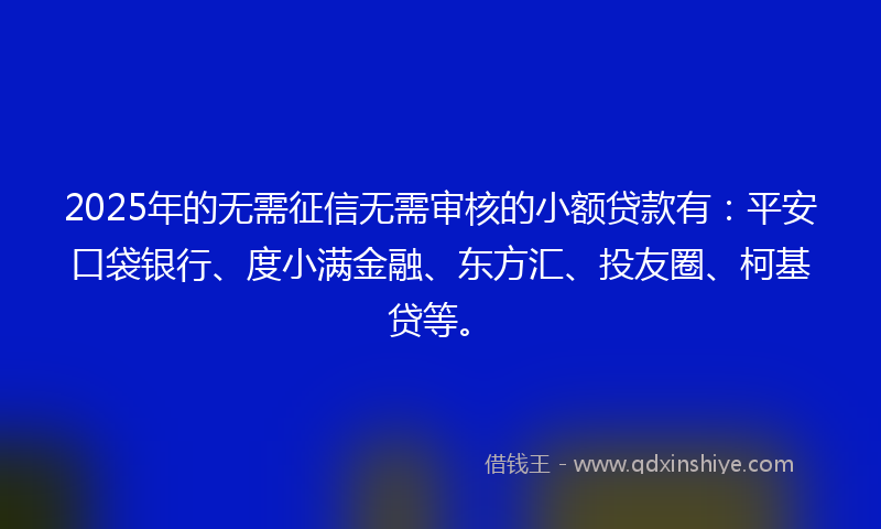 2025年的无需征信无需审核的小额贷款有：平安口袋银行、度小满金融、东方汇、投友圈、柯基贷等。