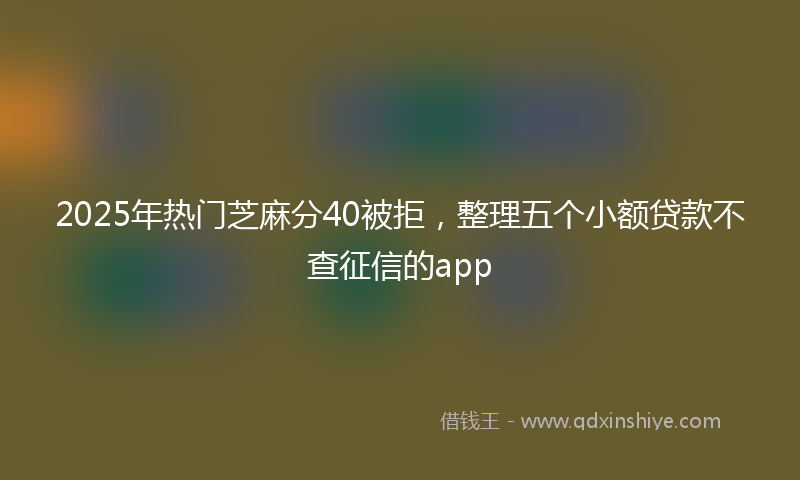 2025年热门芝麻分40被拒，整理五个小额贷款不查征信的app