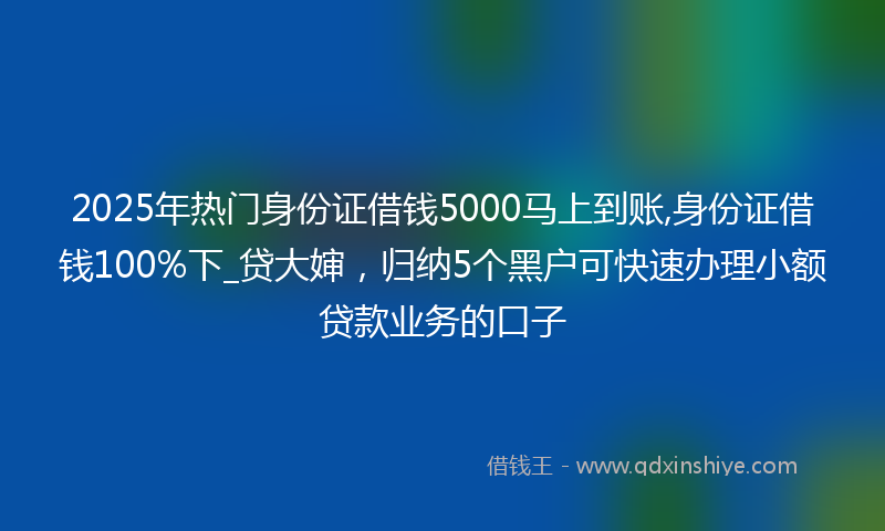 2025年热门身份证借钱5000马上到账,身份证借钱100%下_贷大婶，归纳5个黑户可快速办理小额贷款业务的口子