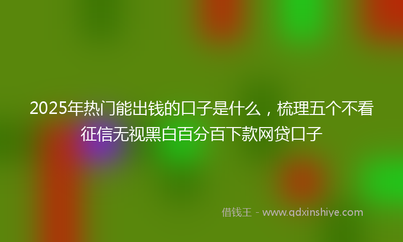 2025年热门能出钱的口子是什么，梳理五个不看征信无视黑白百分百下款网贷口子