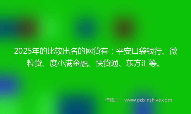 2025年的比较出名的网贷有：平安口袋银行、微粒贷、度小满金融、快贷通、东方汇等。