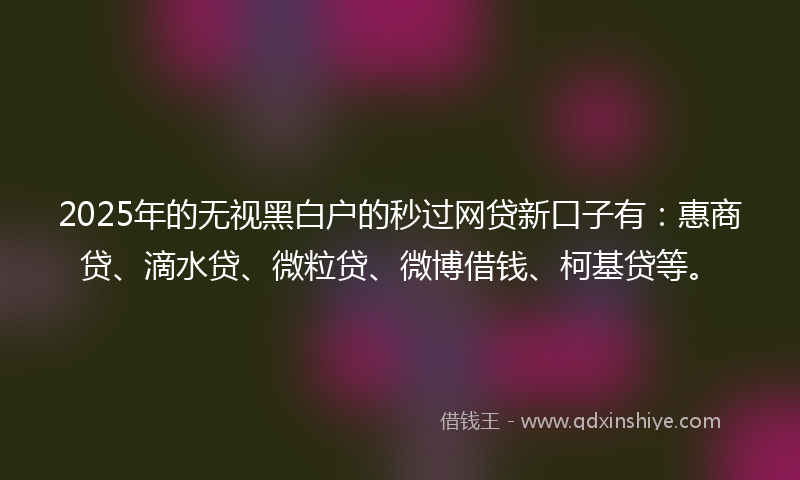 2025年的无视黑白户的秒过网贷新口子有：惠商贷、滴水贷、微粒贷、微博借钱、柯基贷等。