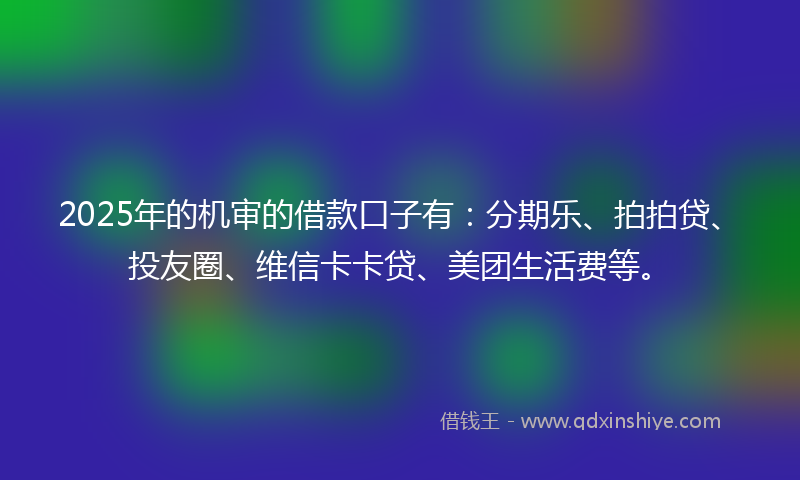 2025年的机审的借款口子有：分期乐、拍拍贷、投友圈、维信卡卡贷、美团生活费等。