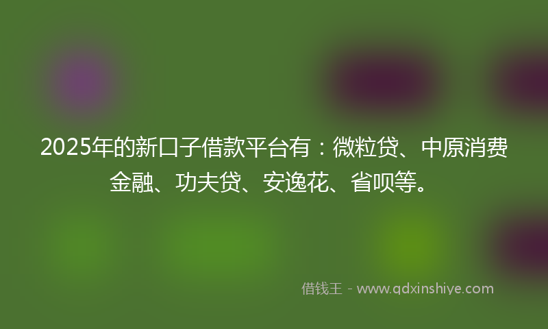 2025年的新口子借款平台有：微粒贷、中原消费金融、功夫贷、安逸花、省呗等。