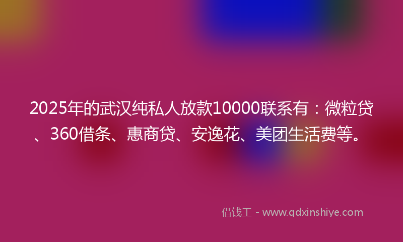 2025年的武汉纯私人放款10000联系有：微粒贷、360借条、惠商贷、安逸花、美团生活费等。