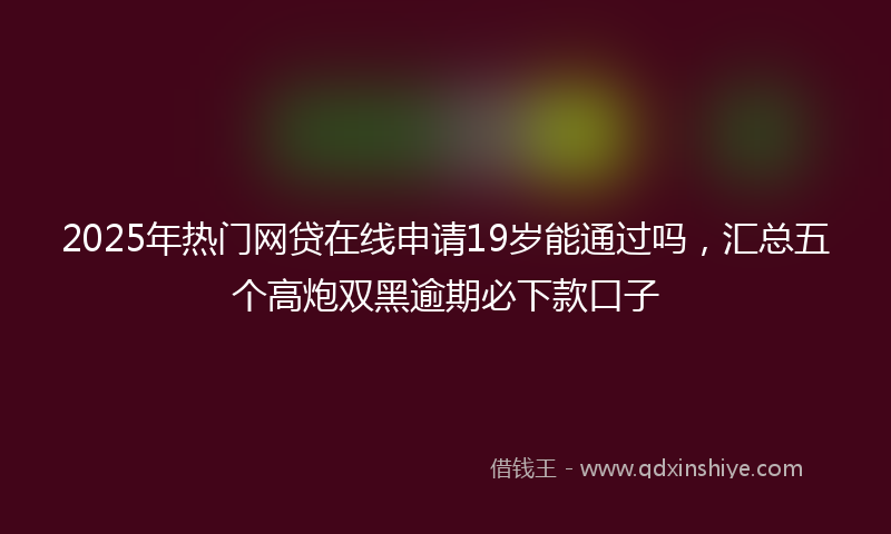 2025年热门网贷在线申请19岁能通过吗，汇总五个高炮双黑逾期必下款口子