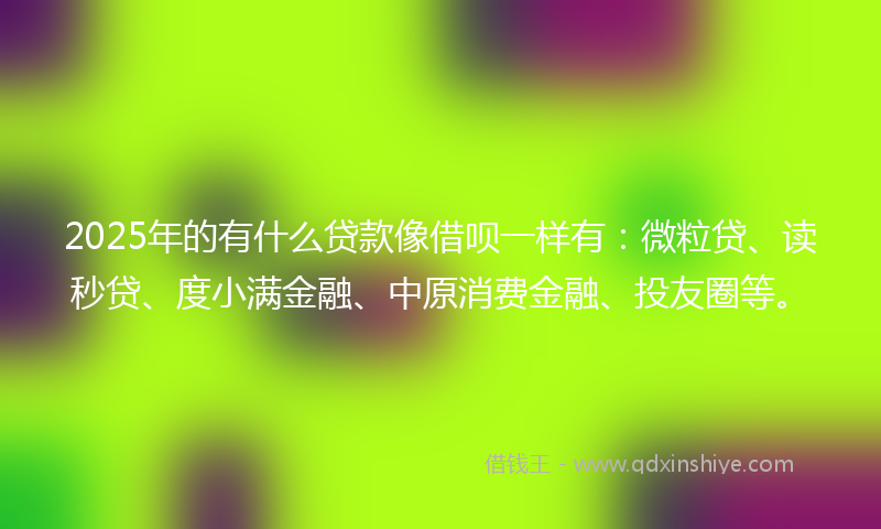2025年的有什么贷款像借呗一样有：微粒贷、读秒贷、度小满金融、中原消费金融、投友圈等。