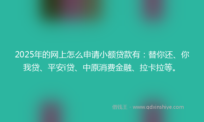 2025年的网上怎么申请小额贷款有：替你还、你我贷、平安i贷、中原消费金融、拉卡拉等。