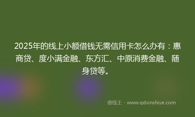 2025年的线上小额借钱无需信用卡怎么办有：惠商贷、度小满金融、东方汇、中原消费金融、随身贷等。