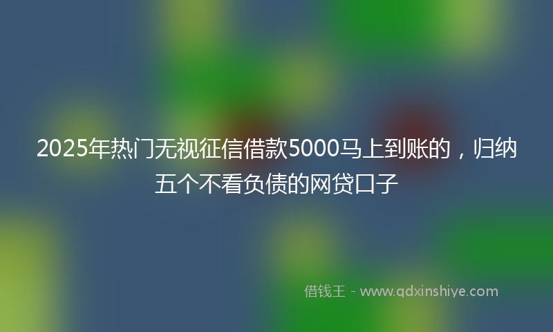 2025年热门无视征信借款5000马上到账的，归纳五个不看负债的网贷口子