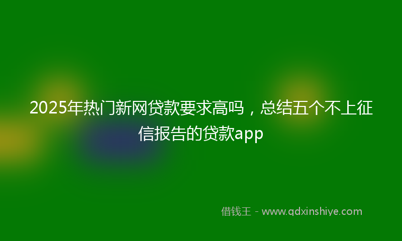 2025年热门新网贷款要求高吗，总结五个不上征信报告的贷款app