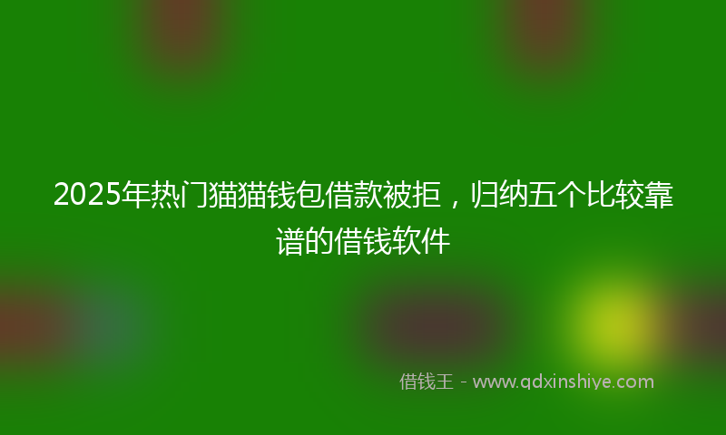 2025年热门猫猫钱包借款被拒，归纳五个比较靠谱的借钱软件