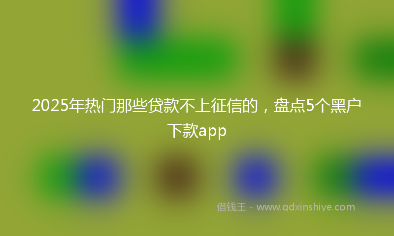 2025年热门那些贷款不上征信的，盘点5个黑户下款app