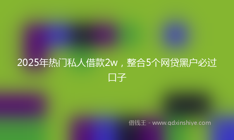 2025年热门私人借款2w，整合5个网贷黑户必过口子