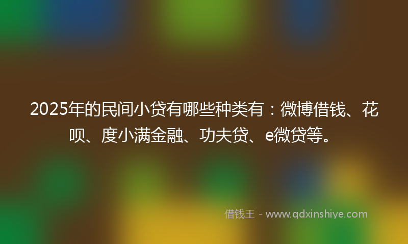 2025年的民间小贷有哪些种类有：微博借钱、花呗、度小满金融、功夫贷、e微贷等。