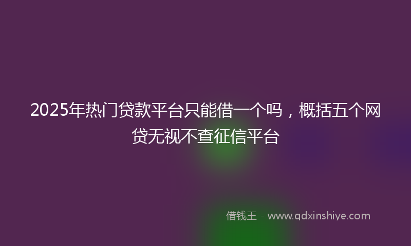 2025年热门贷款平台只能借一个吗，概括五个网贷无视不查征信平台