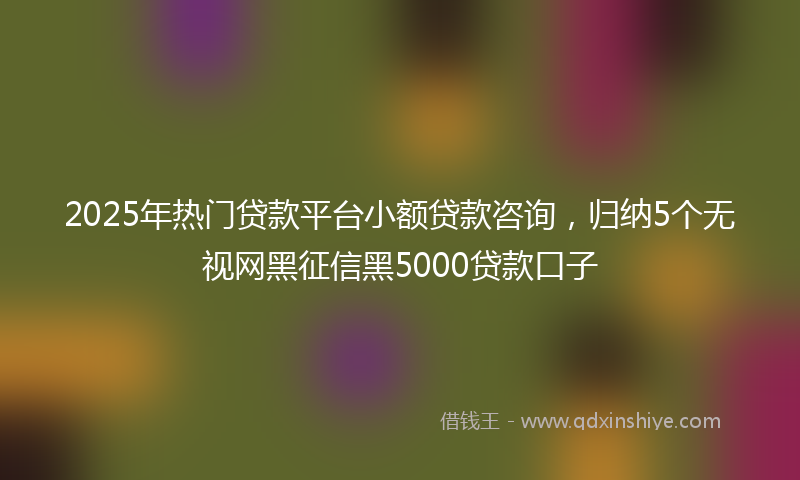2025年热门贷款平台小额贷款咨询，归纳5个无视网黑征信黑5000贷款口子
