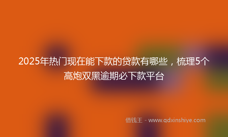 2025年热门现在能下款的贷款有哪些，梳理5个高炮双黑逾期必下款平台