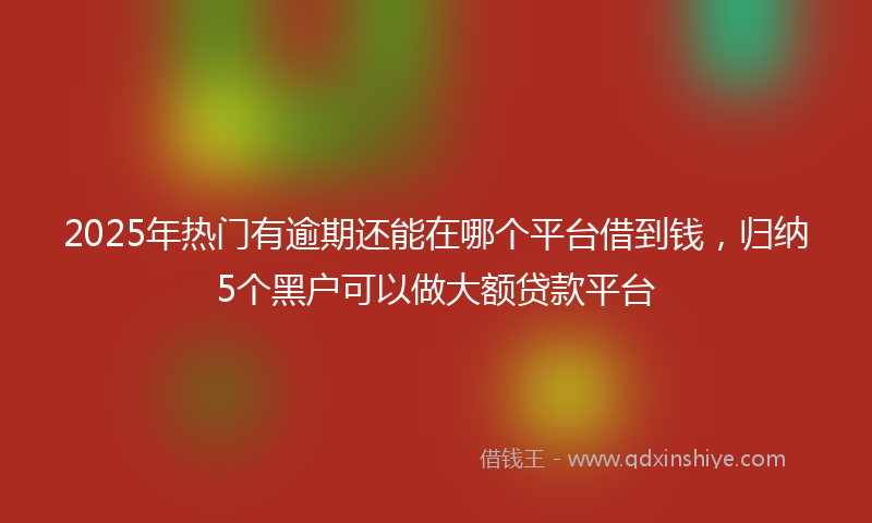 2025年热门有逾期还能在哪个平台借到钱，归纳5个黑户可以做大额贷款平台