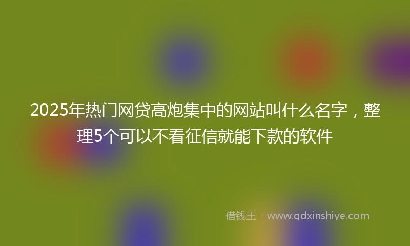 2025年热门网贷高炮集中的网站叫什么名字，整理5个可以不看征信就能下款的软件