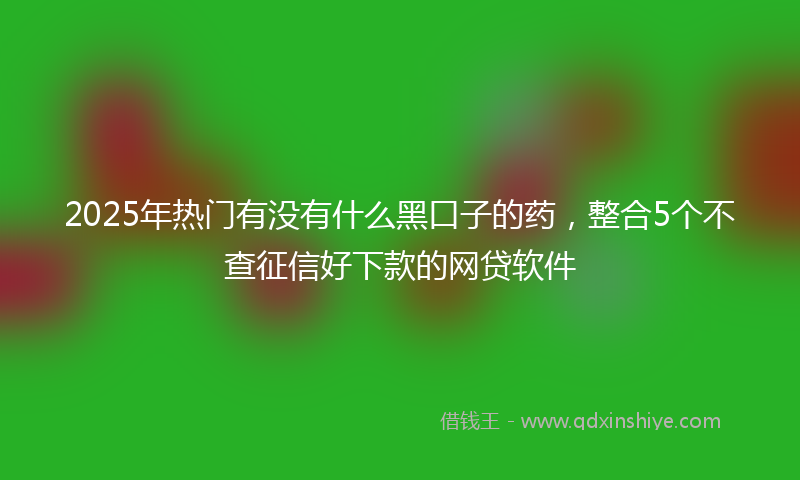 2025年热门有没有什么黑口子的药，整合5个不查征信好下款的网贷软件