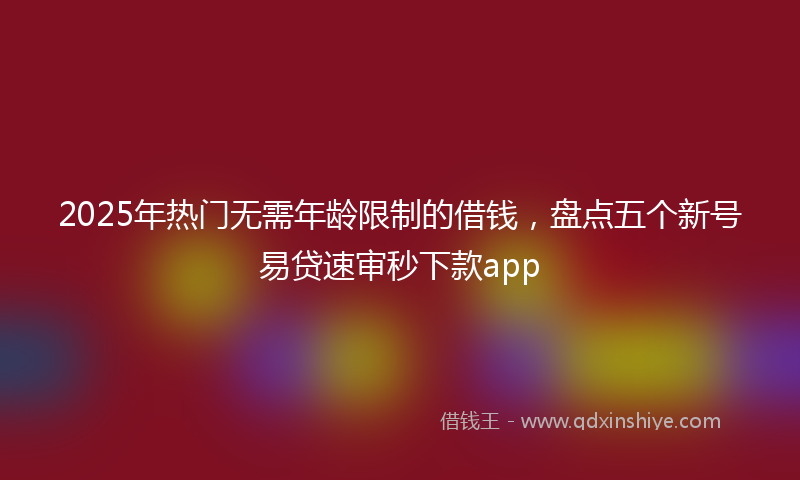 2025年热门无需年龄限制的借钱，盘点五个新号易贷速审秒下款app