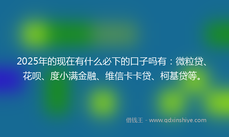 2025年的现在有什么必下的口子吗有：微粒贷、花呗、度小满金融、维信卡卡贷、柯基贷等。